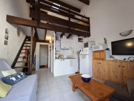 appartement de type studio mezzanine avec terrasse