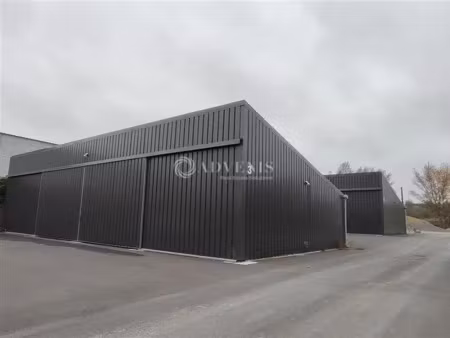 local d'activités a louer