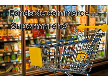 vente commerce 7 pièces 685 m² redon (35600)