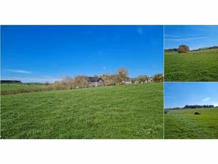 terrain à bâtir à vendre à mierchamps 299g la roche-en-ardenne (vwd16376)