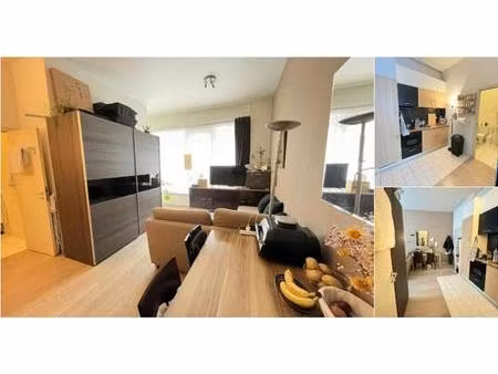 maison à louer à avenue de l'héliport bruxelles (vbd77488)