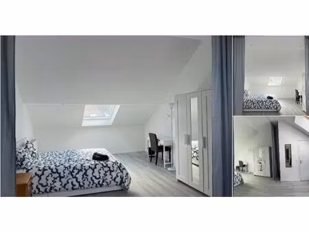 maison en colocation à rue hanoteau gilly (vbd77519)