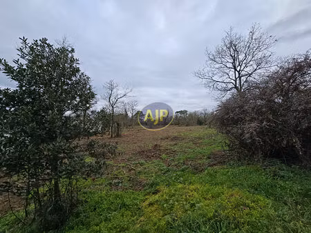 vente terrain 2672 m² guémené-penfao (44290)