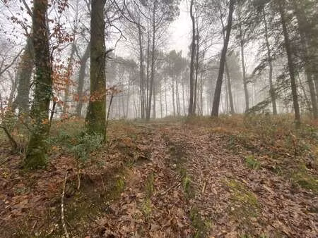 vente terrain à inzinzac-lochrist (56650) : à vendre / 19150m² inzinzac-lochrist