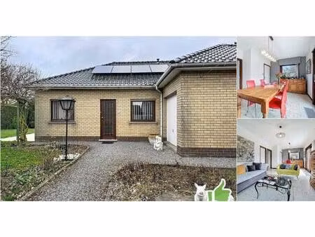 maison à vendre avec garage et 2 chambres   templeuve (vbd77244)