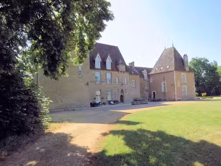 château xvo  xvio  xixo avec dépendances sur environ 25ha