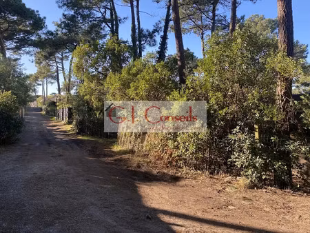 vente maison 10 pièces 160 m² à lège-cap-ferret (33950)  2 444 000 €