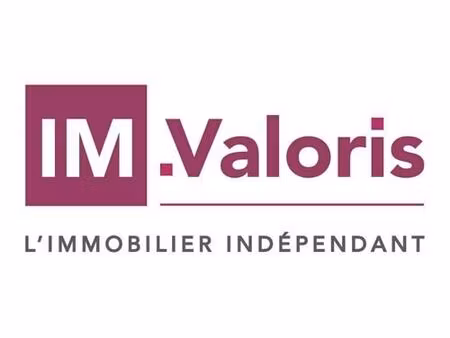 vente commerce 300 m² nazelles-négron (37530)