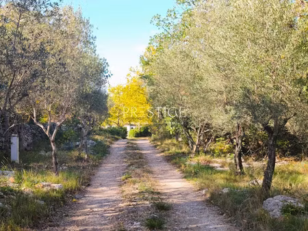 vente propriété 6 pièces 248 m² à saint-clément-de-rivière (34980)  1 995 000 €