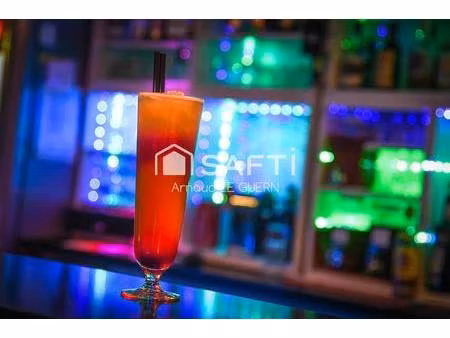 vente commerce 3 pièces 154 m² saint-cyprien (66750)