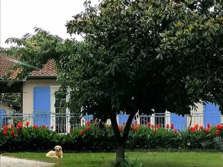 loupiac maison t4 de 100 m2 a 1/2 h de toulouse