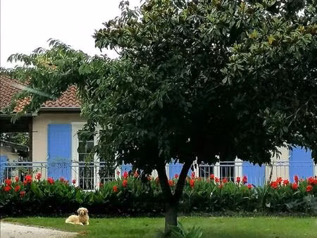 secteur coufouleux-toulouse maison t4 de 100 m2 -terain 12000 m2