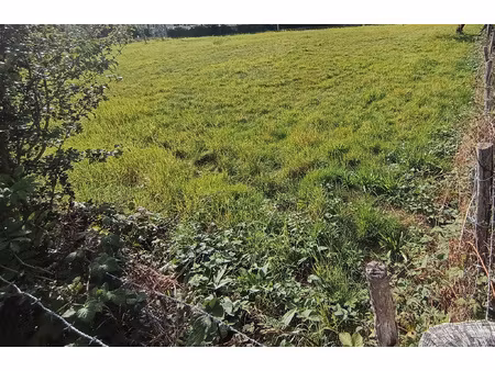 trois de terrains constructibles a ne pas manquer !!!