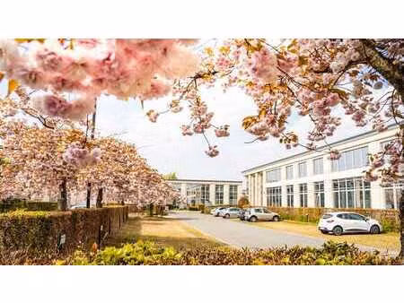 686 m² bureaux élégants près de la chaussée de louvain