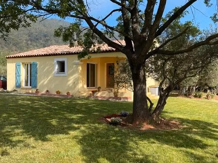 gonfaron (83590) - maison de plain-pied avec jardin - viager occupé
