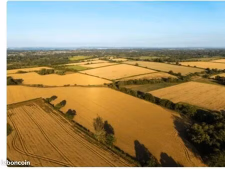 recherche terrain constructible massongy