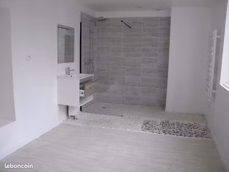 appartement 3 pièces 115 m²