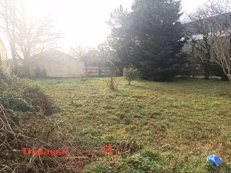 vente terrain à pornic (44210) : à vendre / 438m² pornic