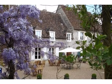 vente maison 15 pièces 600 m² la roche-posay (86270)