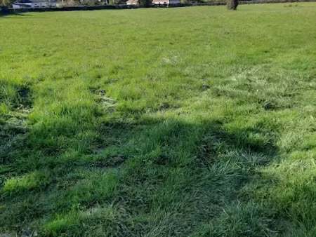 vente terrain 1100 m² à le magny (36400)  31 000 €