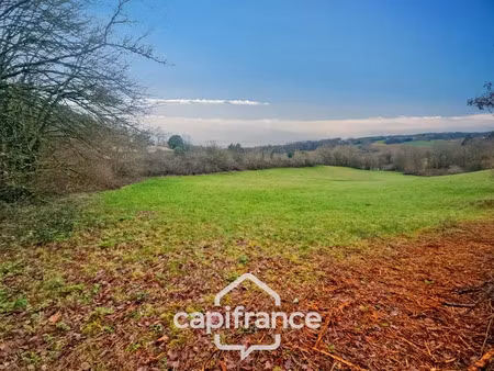 vente terrain 23465 m² à saint-caprais-de-lerm (47270)  22 000 €