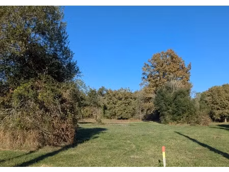 vente terrain 1137 m² à noaillan (33730)  45 000 €