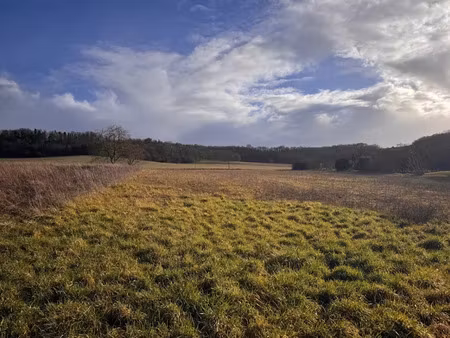 vente terrain 1499 m² à champagne-et-fontaine (24320)  18 000 €