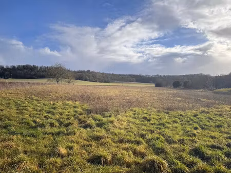 vente terrain 1500 m² à champagne-et-fontaine (24320)  19 999 €