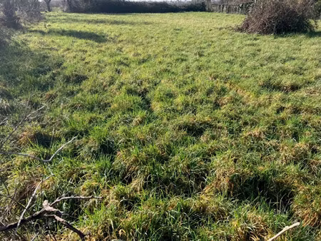 vente terrain 1450 m² à chassors (16200)  43 800 €