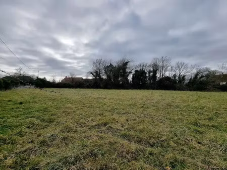 vente terrain 1315 m² à sancy-lès-provins (77320)  42 000 €