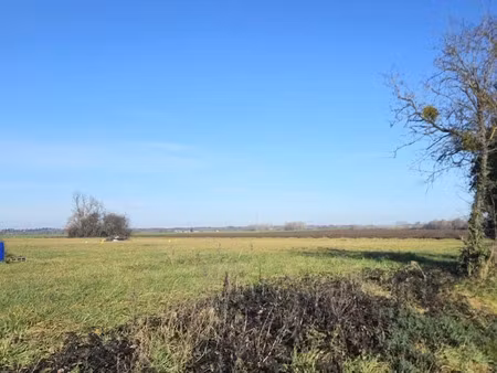 vente terrain 1090 m² à escurolles (03110)  33 000 €