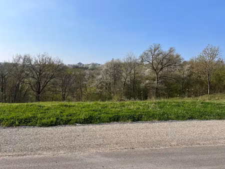 sublime terrain à bâtir en lisière de forêt