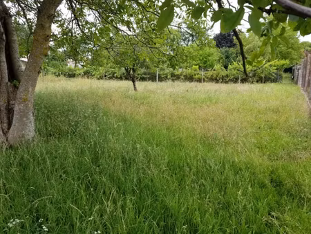 vente terrain 1300 m² à barbezieux-saint-hilaire (16300)  55 000 €