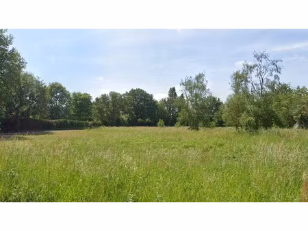 vente terrain 1285 m² à herbault (41190)  50 000 €