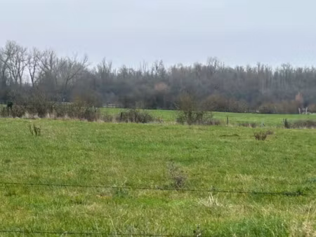 vente terrain 1500 m² à bethune (62400)  75 000 €