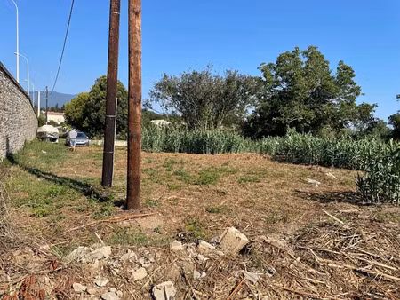 vente terrain 2732 m² à venzolasca (20215)  29 000 €