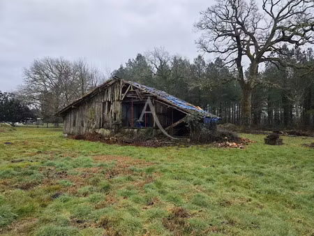 vente terrain 2383 m² à saint-paul-lès-dax (40990)  150 000 €