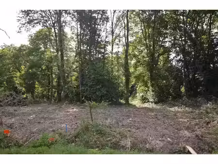 vente terrain 1133 m² à saint-georges-de-pointindoux (85150)  84 800 €