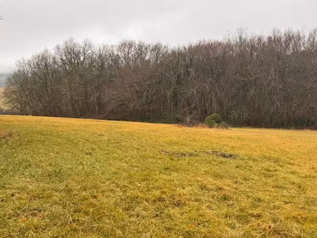 vente terrain 1800 m² à notre-dame-de-sanilhac (24660)  100 000 €