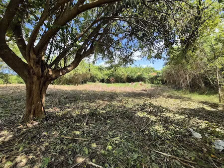 vente terrain 1299 m² à le vauclin (97280)  180 000 €
