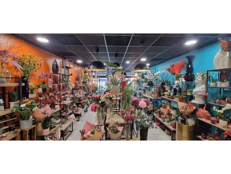 vente locaux professionnels 185 m² à cournon-d'auvergne (63800)  260 000 €