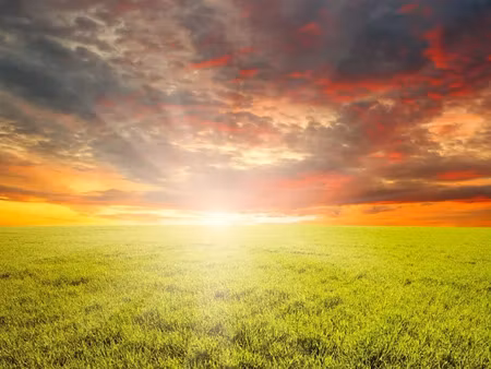 vente terrain 1000 m² à audenge (33980)  215 000 €