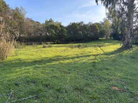 vente terrain 1300 m² à frejus (83600)  380 000 €