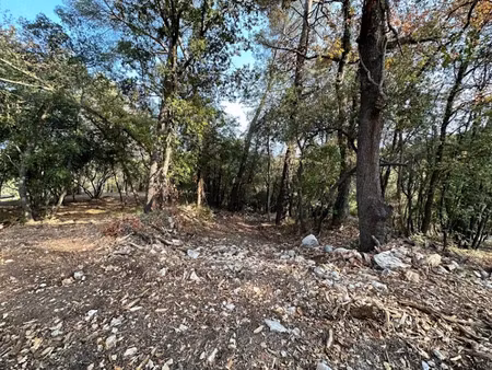 vente terrain 2500 m² à roquefort-les-pins (06330)  355 000 €