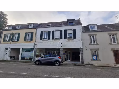 vente locaux professionnels 204 m² à crozon (29160)  199 006 €