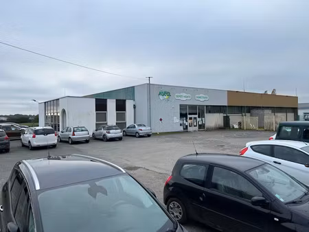 vente locaux professionnels 1300 m² à lussac-les-châteaux (86320)  239 660 €