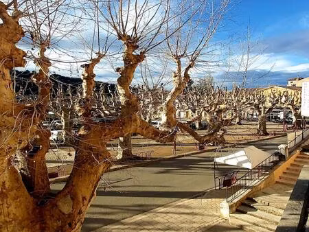maison de village avec local commercial. emplacement stratégiq