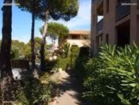 studio rez-de-chaussée  saint-aygulf