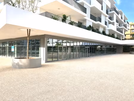 location locaux professionnels 1 pièce 224 m² à saint-laurent-du-var (06700)  6 495 €