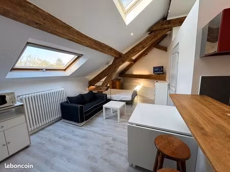 studio mansardé dans parc